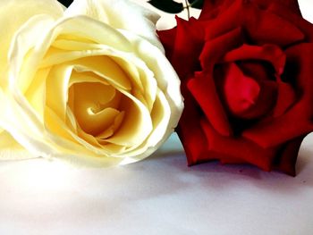 Close-up of rose bouquet