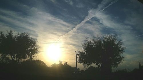 Low angle view of silhouette trees against sky at sunset