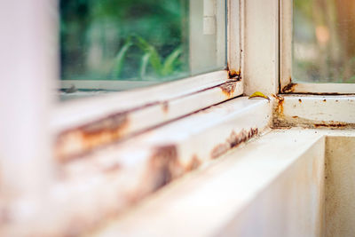 Close-up of window of building