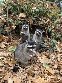 View of two people sitting on land