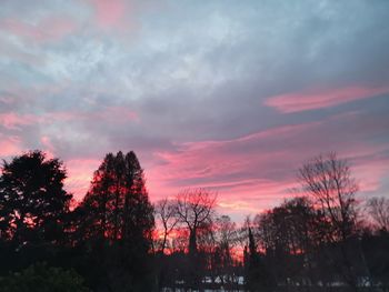 Low angle view of silhouette trees against sky during sunset
