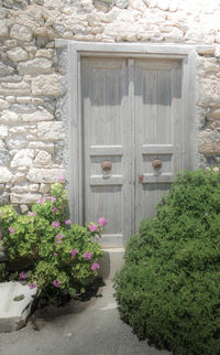 Flower plants against building