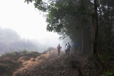 Rear view of people walking on mountain in forest