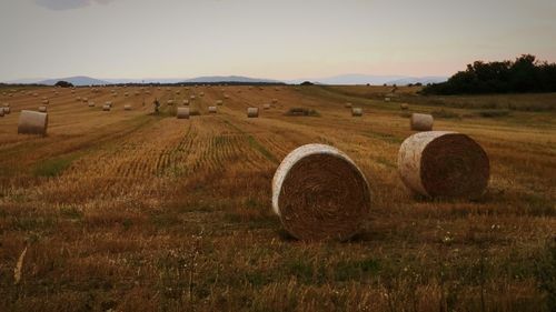 Hay bales on field against sky