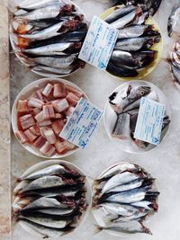 High angle view of fish for sale at market stall