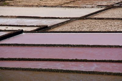 Full frame shot of agricultural field