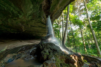 Scenic view of waterfall in forest