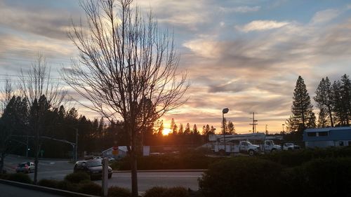 Silhouette of bare trees against cloudy sky at sunset