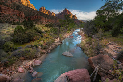 Scenic view of river amidst rocks in forest