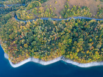 High angle view of beach