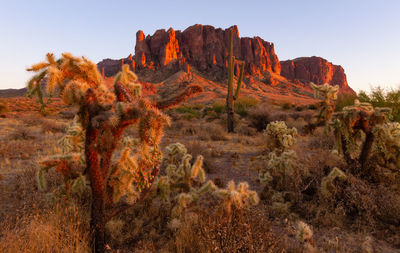 Sunset in lost dutchman state park