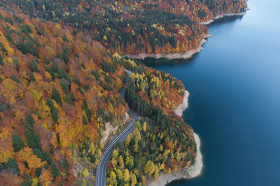 High angle view of trees during autumn