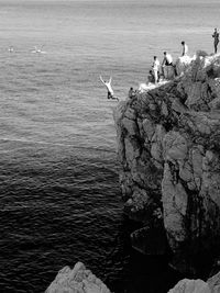 Seagulls flying over rocks by sea