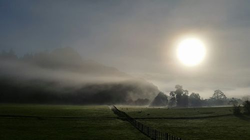 Scenic view of grassy field against sky