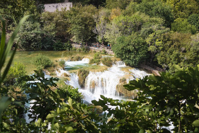 Scenic view of waterfall in forest