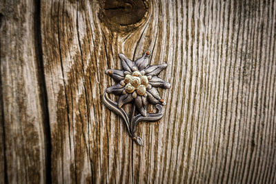 Close-up of old wooden door knocker