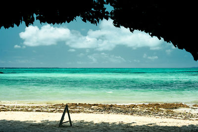 Scenic view of sea against sky, view through  shade of tree.