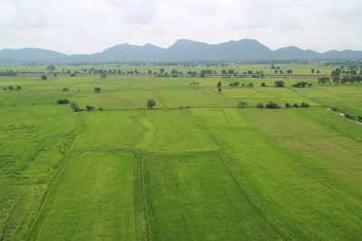 Scenic view of farm field against sky