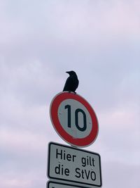 Low angle view of a bird perching on road sign