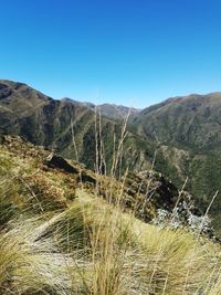 Scenic view of landscape against clear blue sky