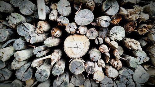 firewood