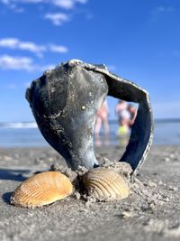 sea