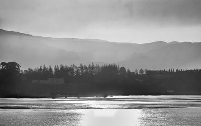 Omokoroa back beach view at sunset. silhouette of treeline. sun reflected.