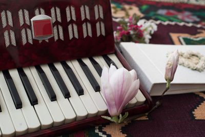 High angle view of pink and white flowers