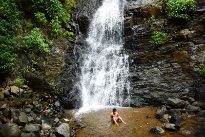 Scenic view of waterfall in forest