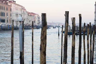 Wooden posts in sea against clear sky