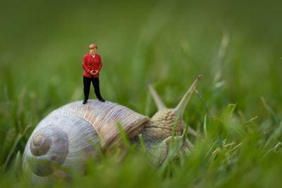 Male toy on snail in grassy field