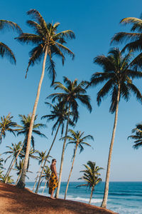 Palm trees on beach against sky