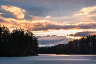 Trees on landscape against sky at sunset