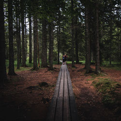 Man walking on dirt road amidst trees in forest
