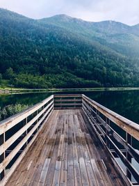 View of wooden bridge in forest