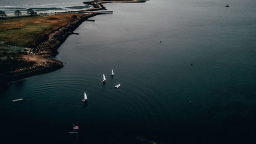 High angle view of birds swimming in lake