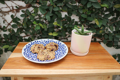 Potted plant on table