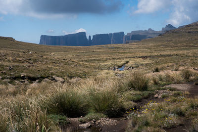 Scenic view of landscape against sky