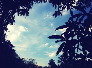 Low angle view of silhouette trees against sky