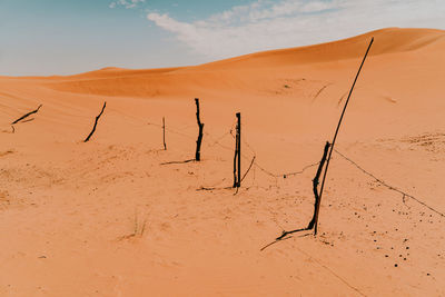 Scenic view of sand dunes in desert against sky