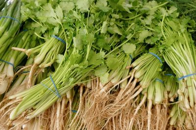 High angle view of vegetables