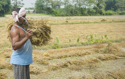 Side view of farmer holding rice paddy during harvesting