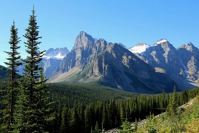 Scenic view of snowcapped mountains against clear blue sky