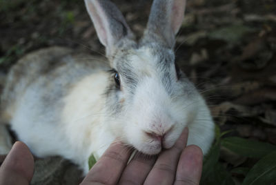 Close-up of hand holding hands