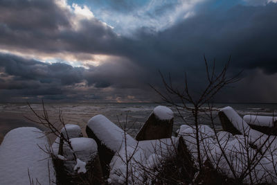 Bare trees against sky during winter