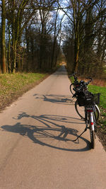 Road passing through forest