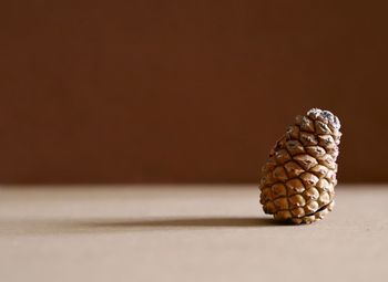 Close-up of bread on table