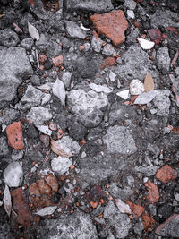 High angle view of rocks on field