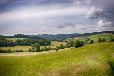 Scenic view of landscape against sky