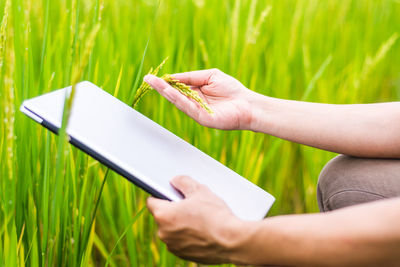 Midsection of man holding laptop while sitting against plants